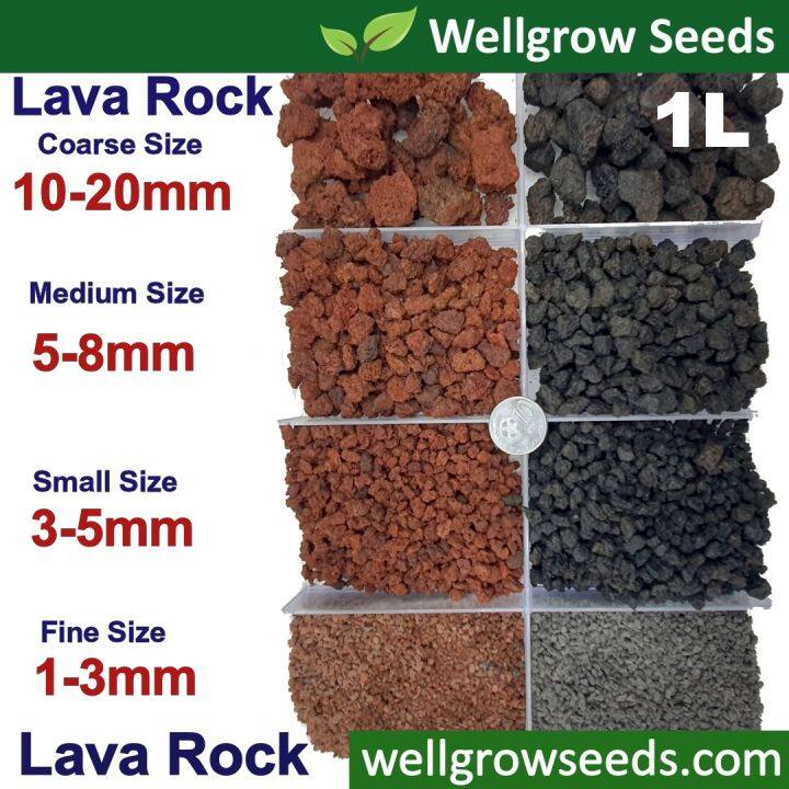 Lava Rock (Black/Red) (For Cactus Succulent/Volcanic Rock Fine/Bio ...