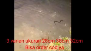 Alat gapit penangkap belut capitan pencapit welut penjepit ikan udang kepiting serbaguna ukuran panjang