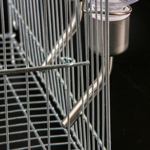 [Energetic] Bình rót núm vú cho chuột hamster thỏ thú cưng thiết bị tự động treo