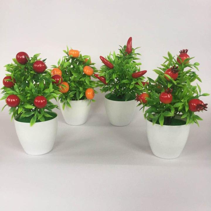 Tanaman Buah Dekorasi Hias Lazada Indonesia