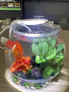 Desktop Aquarium Tank Plastic Transparent Compact Size for Turtle Tanks Round Shape for Home Care and Daily Use Suitable for Storage aquarium tank tank aquarium desktop Home Care