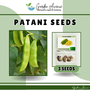 SULIT PACK! HYBRID PATANI/LIMA BEAN SEEDS (3pcs seeds) HIGH YIELD/EAST TO GROW