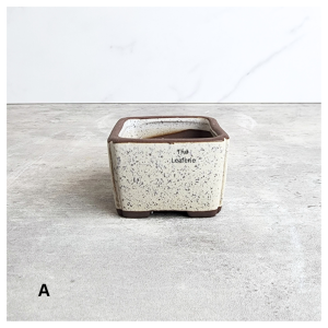 The Leaferie Bonsai flowerpot (Series 77) square flower pot . planters planter pots ceramic . plant