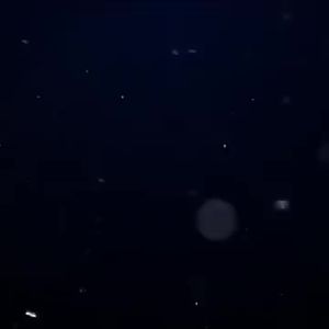 Red Starfish Protein Skimmer SQ-50 SQ-70 SQ-90 New and Mini Protein Separator Nitrogen Device for Coral Tank Marine Aquarium