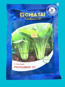 hạt giống F1 CẢI NGỌT CHIA TẢI gói 50gr | Cây to nhưng ăn rất mềm ngon ngọt và đặc biệt không bị sơ