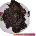 Madu Klanceng Kelulut Lanceng Trigona Asli Murni Anti Mikroba Radikal Bebas Diabetes Mengatasi Gangguan Kesuburan Neurologis Inflamasi Menjaga Kesehatan Jantung Pembuluh Darah Mencegah Maag Flu Batuk Hutan Gunung Merapi 315 g. 