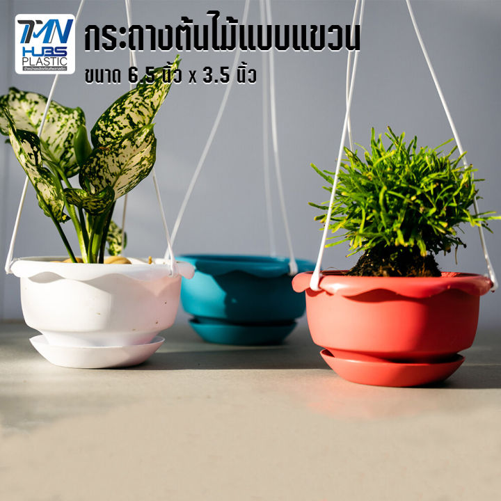 TMN_Hubs กระถางแขวนพลาสติก 6.5 นิ้ว พร้อมจานรอง 3 สี