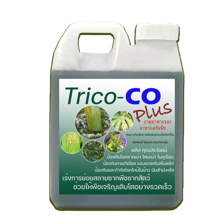 10 อันดับ ไตรโคเดอร์มา ยี่ห้อไหนดี? อัปเดตปี 2026 เพื่อพืชแข็งแรงไร้โรค!