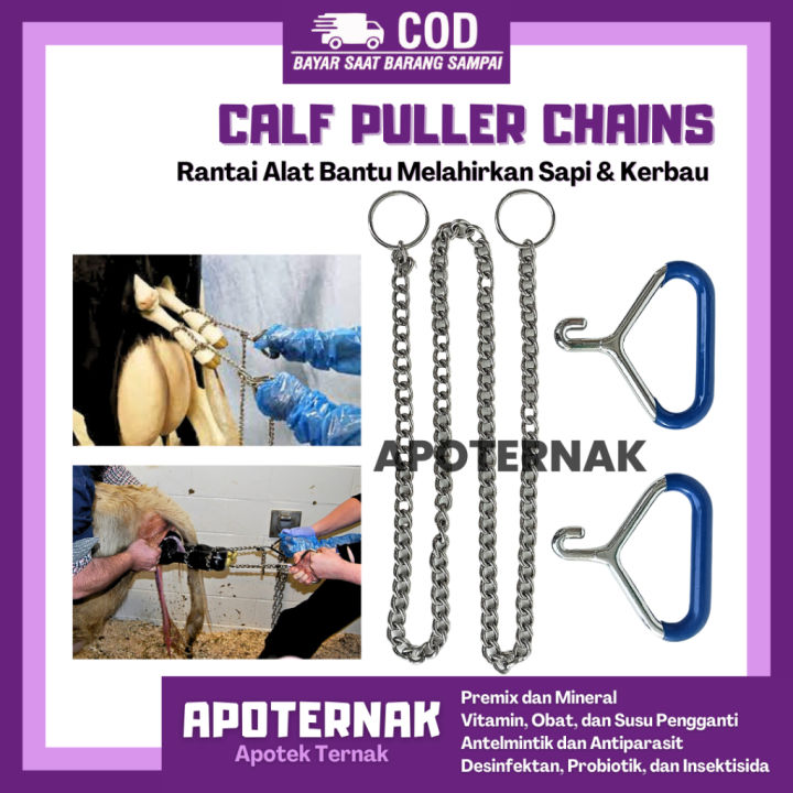 Alat Sapi CALF PULLER CHAIN Stainless Steel - Rantai Alat Menarik Pedet Anak Sapi ...