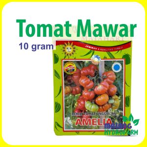 Benih Tomat Mawar Amelia 10 gram Cap Bunga Matahari dataran menengah tinggi biji bibit sayur sayuran buah unggul tomato keriting merah gerigi hydroponik hidroponik