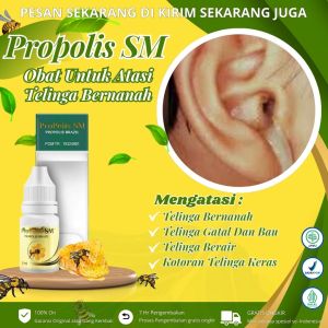 Propolis Sm - Obat Tetes Telinga Bernanah Obat Telinga Congek Obat Telinga Bau Busuk Obat Telinga Keluar Cairan  Radang Telinga