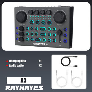 RAYHAYES Bluetooth Live Sound Card with Condenser Microphone Set for DJ Gaming Recording Live Streaming