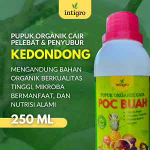 Pupuk Buah Kedondong / Booster Kedondong Penyubur dan Pelebat Buah / Pupuk Penyubur Buah Dondong