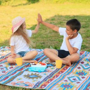 BLACKDEER Camping Mat For Family Nation Style Printed Thicken Waterproof Picnic Beach Mat Child Play Spring Machine Washable