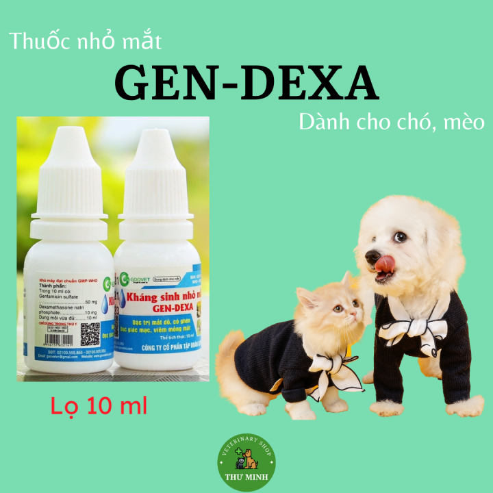 Kháng sinh nhỏ mắt GEN-DEXA dành cho chó, mèo lọ 10 ml