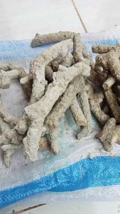 batu karang jahe media filter aquarium /1kg