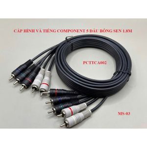 Dây AV dây cáp tín hiệu âm thanh chất lượng cao 5 đầu bông sen 18m tín hiệu cực chuẩn