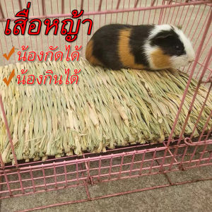 พร้อมส่ง เสื่อหญ้าสำหรับกระต่าย แผ่นหญ้ารองกรง ที่นอนทำจากหญ้าแห้งสำหรับกระต่าย รังนอนหญ้า ของเล่นลับฟันกระต่าย