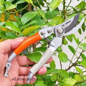 Kéo cắt cành Asaki Nhật Bản | Thép không gỉ tay cầm màu cam và trắng | Dụng cụ cắt tỉa cây cảnh | Thiết kế chắc chắn độ bền cao