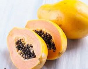 PAPAYA SEEDS SOLO VARIETY HYBRID