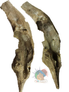 [EJS] Aquarium Malaysian Drift wood - 天然鱼缸沉木