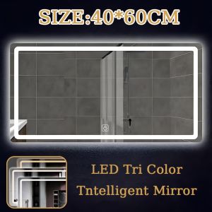 Bathroom LED Mirror with led light wall decor smart tri color dimming Frameless Beauty Makeup Mirror