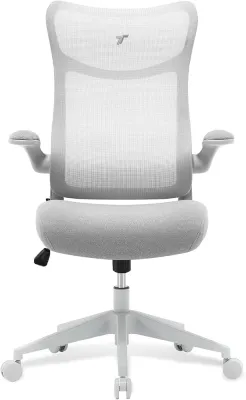 TT Airflex V2 Ergochair Home Office Mesh Chair Executive Ergonomics Chair (Ashy Grey)
