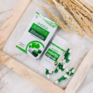 Obat Herbal Ampuh Stroke Ringan & Berat - Pemulihan Cepat! Antapro Bharata 100% Original