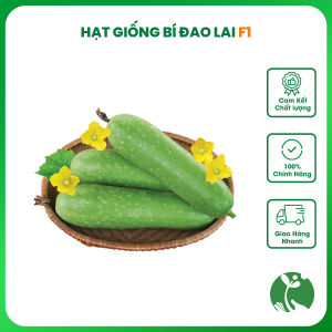 Hạt giống Bí đao lai F1 - Gói 10 hạt - Tỉ lệ nảy mầm >90% - Trồng quanh năm