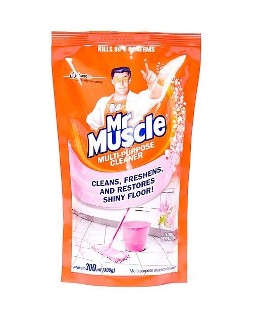 Mr Muscle Multi Purpose Cleaner, 300ml refill | Lazada Philippines