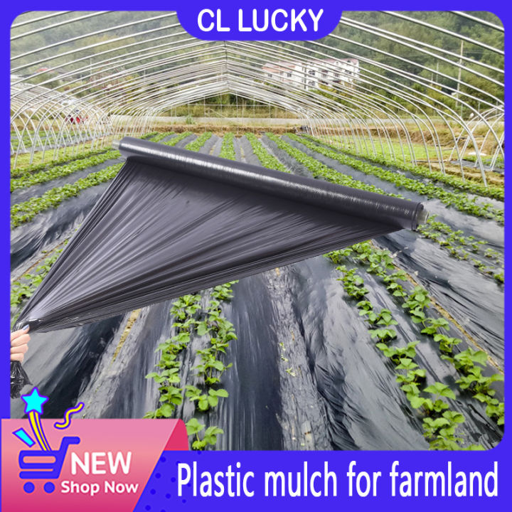 【cod】plastic Mulch 2.65ft X 650m 0.8m X 2132ft 10 Microns Heavy Duty 