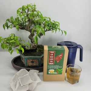 Trà Cà Gai Leo Xạ Đen - Tuệ Quang - Hỗ Trợ Giảm Viêm Gan Giúp Giải Độc Gan Mát Gan Thanh Nhiệt Cơ Thể - Hộp 50 Lọc