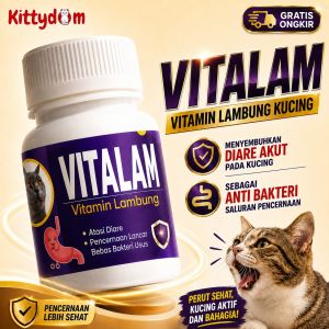 KITTYDOM Vitalam Vitamin Lambung Kucing 30 Kapsul Digestive Support Obat Kucing Diare Muntah Mencret Lesu Suplemen Pencernaan Cat Kitten Adult Penambah Nafsu Makan Anabul Kucing Anjing Kelinci