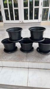 เซ็ทกระถางพร้อมจานรอง 10 นิ้ว แพ็คละ 5 ชุด ได้รับกระถาง ใบ จานรอง 5 ใบ