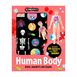 Human Body Factivity Magnetic Folder With Magnet Board