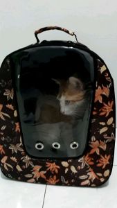 Tas Kucing Ransel Transparan & Waterproof: Perlengkapan yang Praktis dan Ergonomis