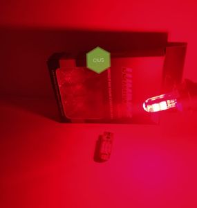 SEPASANG LAMPU T10 15 TITIK JELLY LUMINOS UNTUK LAMPU SEIN SENJA PLAT NOMOR MOTOR DAN MOBIL