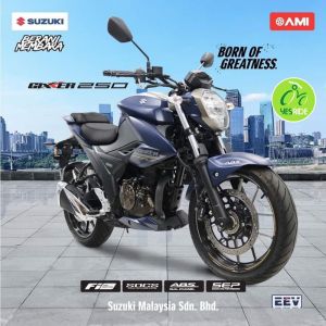 SUZUKI Gixxer 250 Interchanged Model
