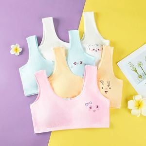 Teenagers Girl Student Bra Ice Silk Teenage Girl Children Bra