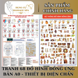 Tranh 68 Đồ Hình Đồng Ứng Bản A0 - Thiết Bị Diện Chẩn