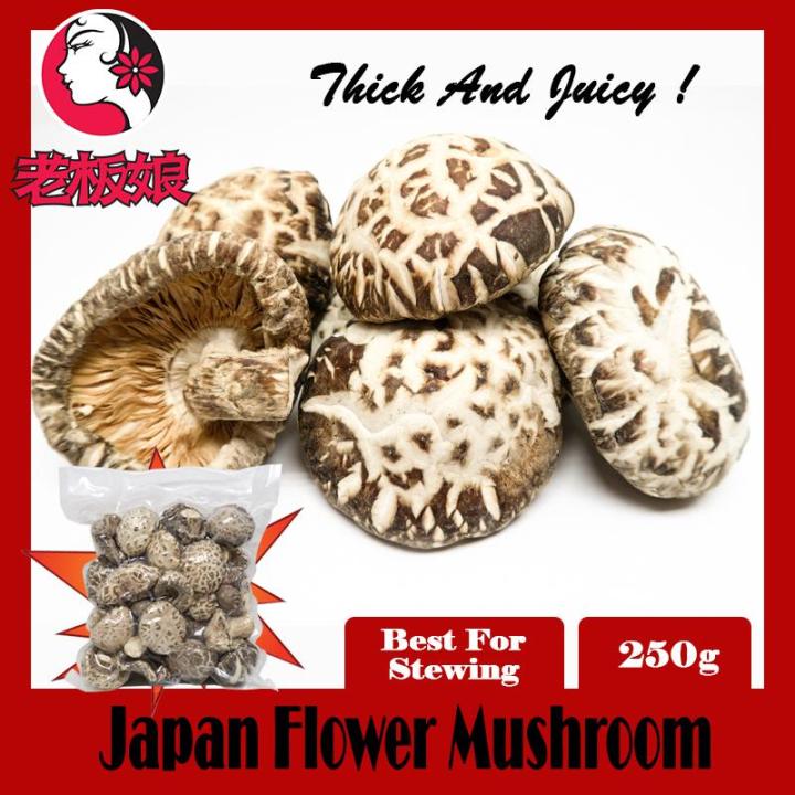 Japan Flower Mushroom 250g Lazada Singapore