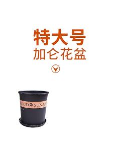 LZD  Extra Large Thick Gallon Basin   Qingshan Plastic Basin Tree Planting Large on-the-Ground Green Plant Pot Chinese Rose Fruit Tree Flower Pot