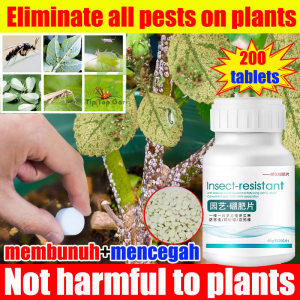 Plant Insect Resistant Tablets 40g Gardening Insect Repellent 植物防虫片 200 biji Ubat has Serangga Tumbuhan Insecticide No pests for 10 years Plant Insect Resistant Tablets 200ps Gardening Insect Repellent Insecticide 园艺防虫片糖化硼肥片