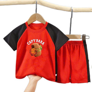 Bộ thể thao tay raplang chất thoáng mát in hình capybara.6-29kg.BTTT2.