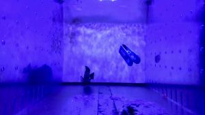 Ultra Fresh Marine Fish Food 75% Prawns + Squids Natural Protein Color Enhancement for Small Saltwater Fish Marine Shrimp Patties S 1.86oz