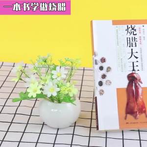 烧腊大王烧腊书菜谱卤水食谱烧鸭鹅腊味菜谱实用烧腊技术提升图典