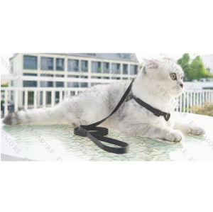 Bộ dây dắt bản dẹp kèm yếm và vòng cổ cho Chó Mèo nhỏ dưới 4kg - Love Pets Shop