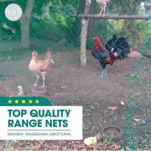 Free Rope Chicken Net 100 Meters 8ft Fish Net for Fishing Garden Net Range Net