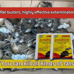 【HOME GUARDER】 big rat killer poison food powder racumin rodenticide rat poison killer for rat killer poison pellet zinc phosphide rat rodenticide killer anti rat for house motorcycle car engine rat away original mice rodent repellent control