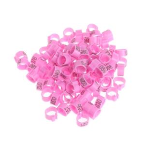 100-Gói 10Mm Bird Vòng Băng tập chân Nhựa Cho Chim Bồ Câu Chân Ban Nhạc Vòng kẹp Cho Gà Cho Chim Bồ Câu Chim Cút Gia Cầm Đa Cololo